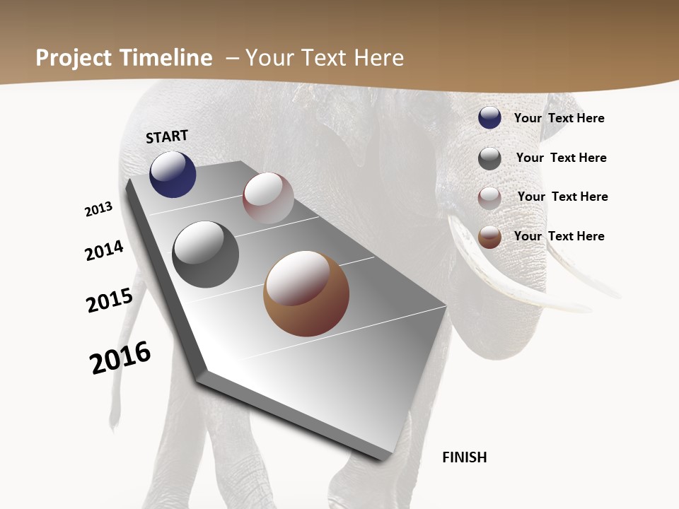 Elefanten Laufen Zirkus PowerPoint Template