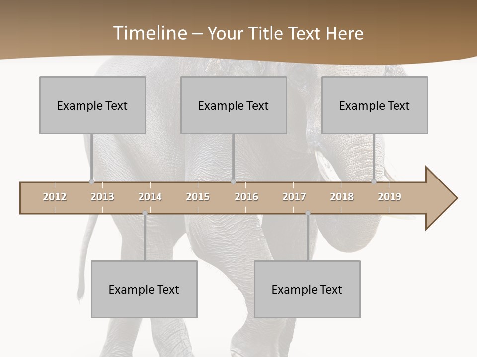 Elefanten Laufen Zirkus PowerPoint Template