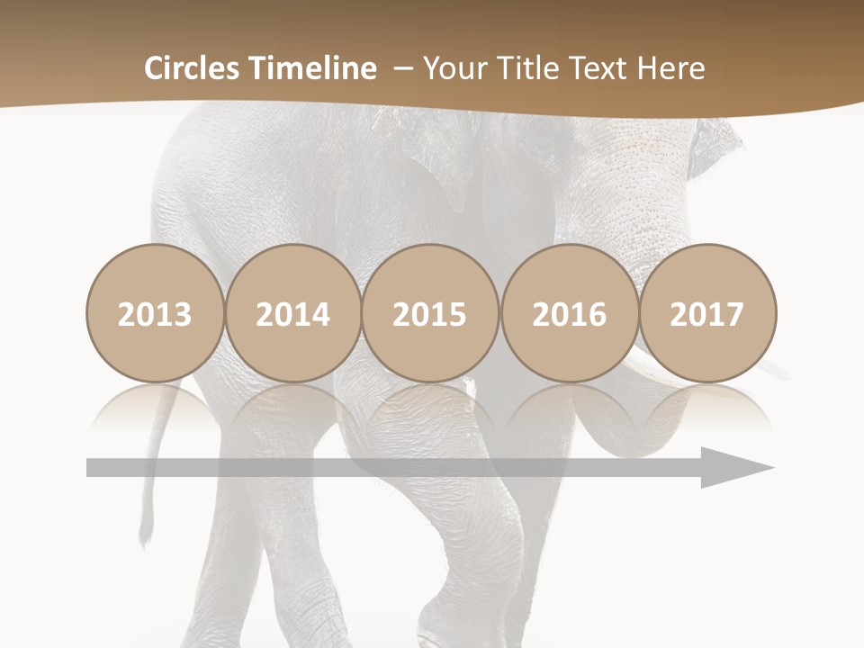 Elefanten Laufen Zirkus PowerPoint Template