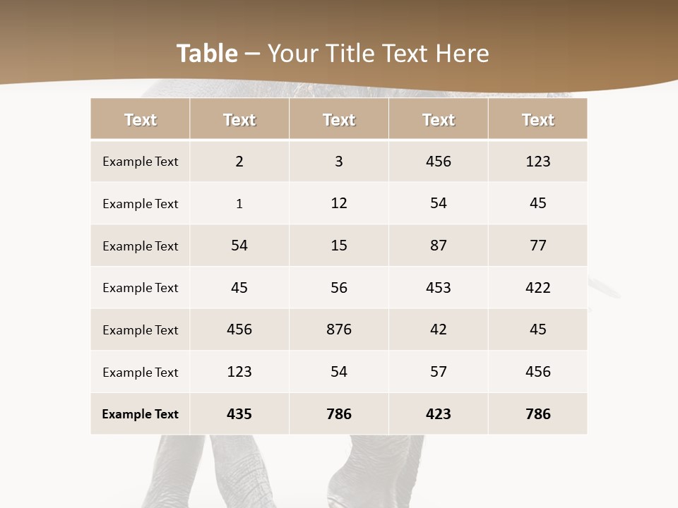 Elefanten Laufen Zirkus PowerPoint Template