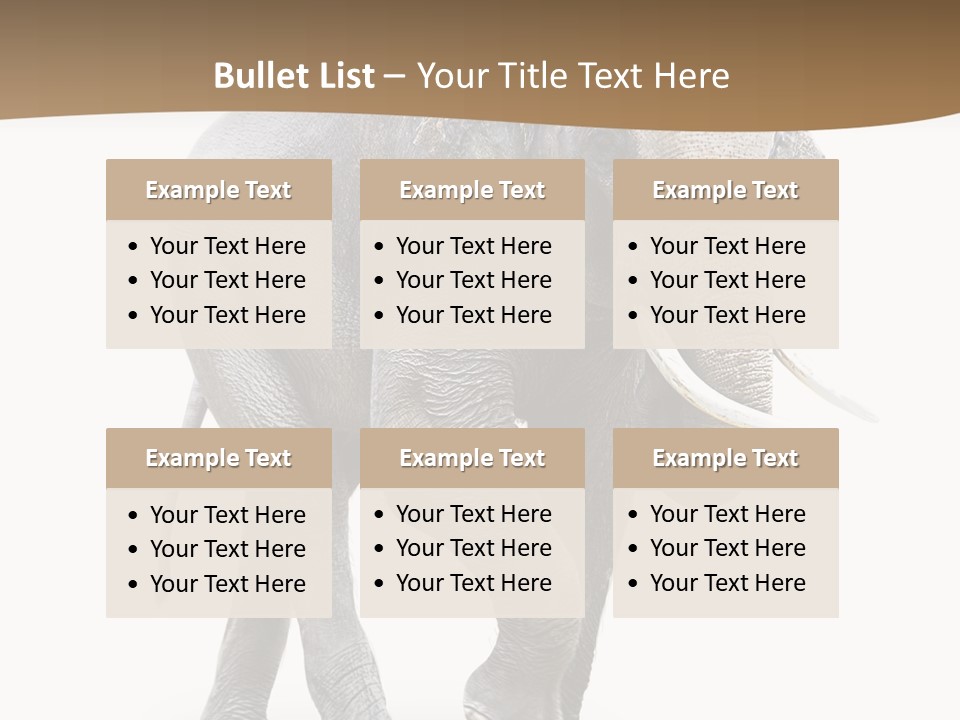 Elefanten Laufen Zirkus PowerPoint Template