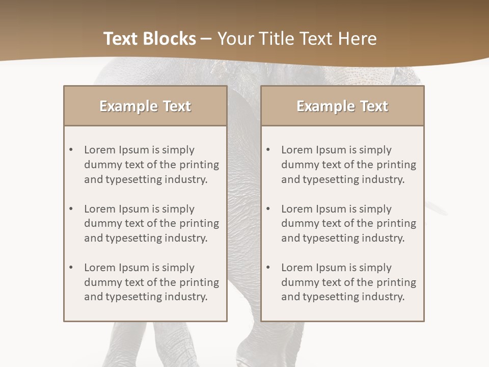 Elefanten Laufen Zirkus PowerPoint Template