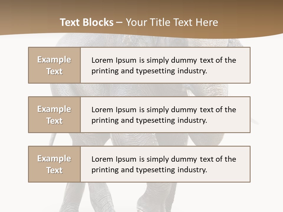Elefanten Laufen Zirkus PowerPoint Template
