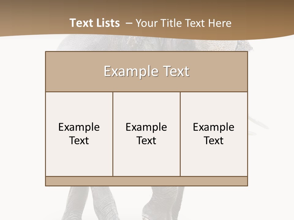 Elefanten Laufen Zirkus PowerPoint Template