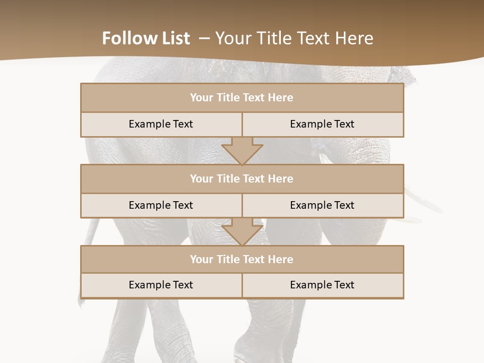 Elefanten Laufen Zirkus PowerPoint Template