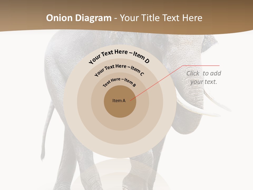 Elefanten Laufen Zirkus PowerPoint Template