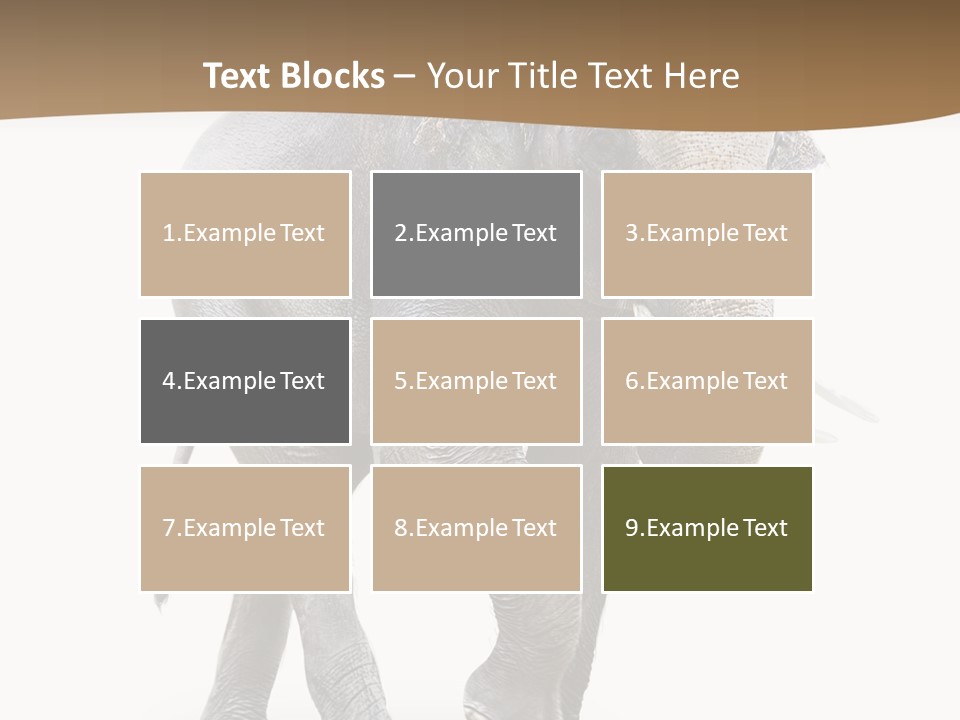 Elefanten Laufen Zirkus PowerPoint Template