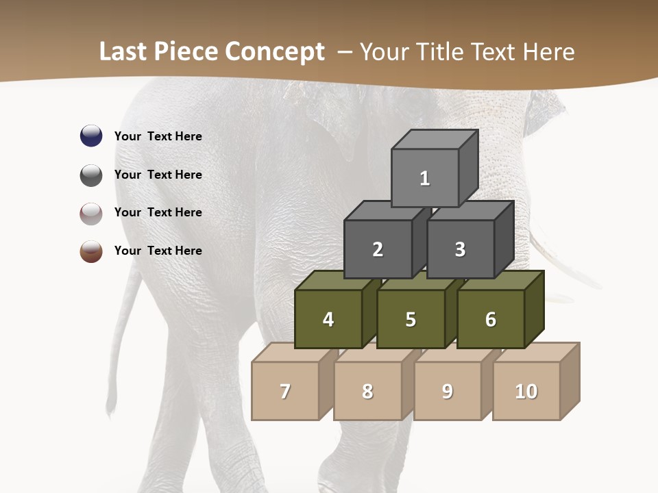 Elefanten Laufen Zirkus PowerPoint Template