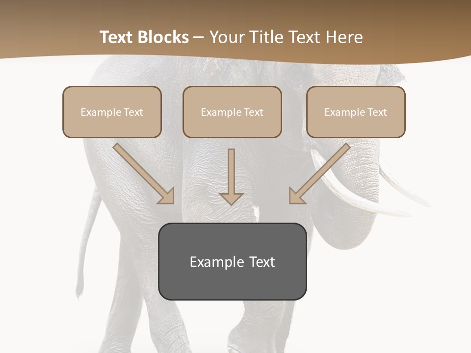 Elefanten Laufen Zirkus PowerPoint Template