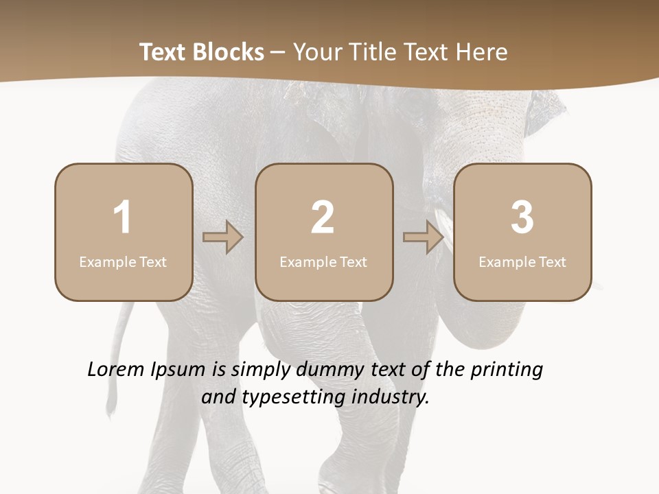 Elefanten Laufen Zirkus PowerPoint Template