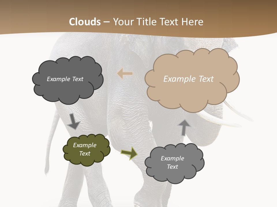 Elefanten Laufen Zirkus PowerPoint Template