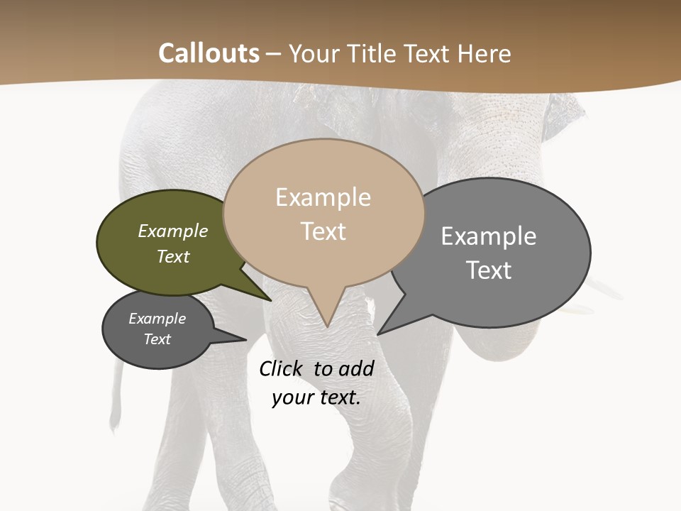 Elefanten Laufen Zirkus PowerPoint Template