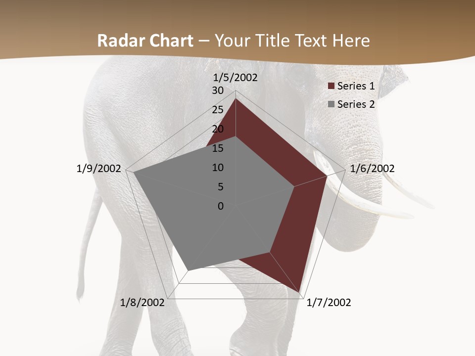 Elefanten Laufen Zirkus PowerPoint Template