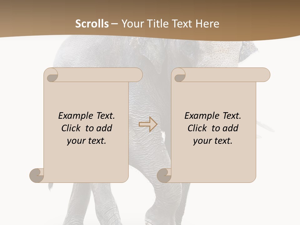 Elefanten Laufen Zirkus PowerPoint Template