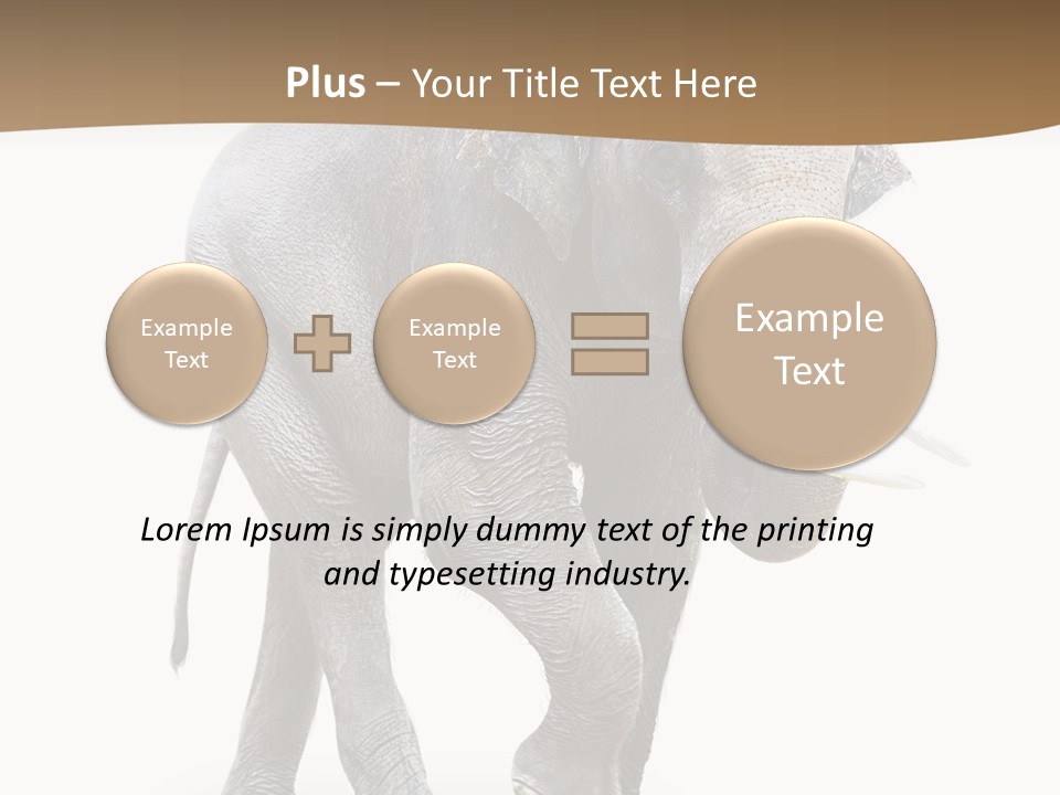 Elefanten Laufen Zirkus PowerPoint Template
