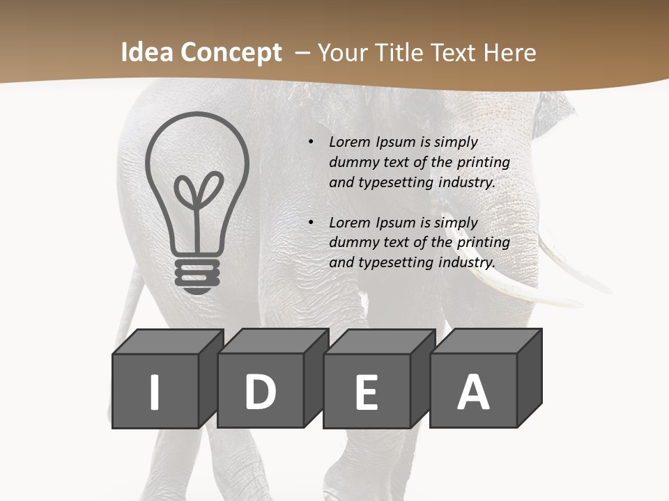 Elefanten Laufen Zirkus PowerPoint Template