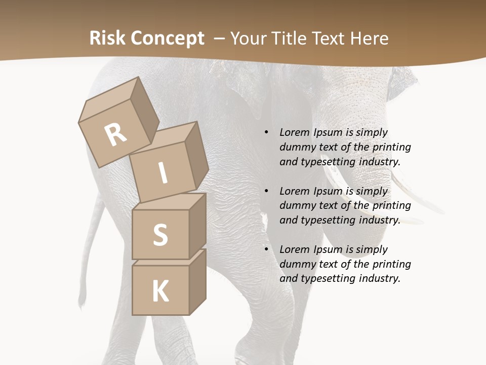 Elefanten Laufen Zirkus PowerPoint Template