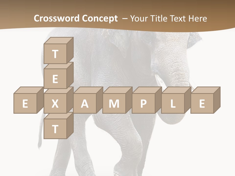 Elefanten Laufen Zirkus PowerPoint Template