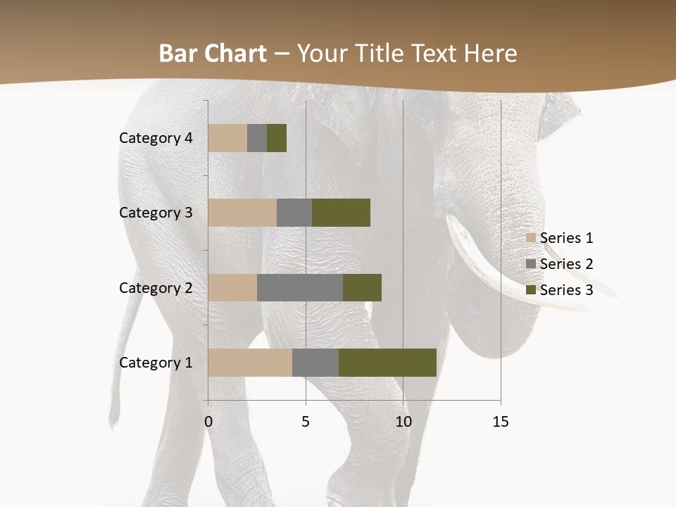 Elefanten Laufen Zirkus PowerPoint Template