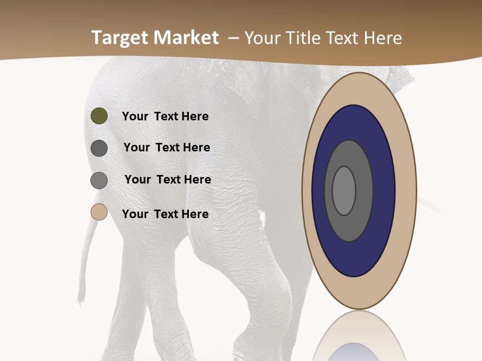 Elefanten Laufen Zirkus PowerPoint Template