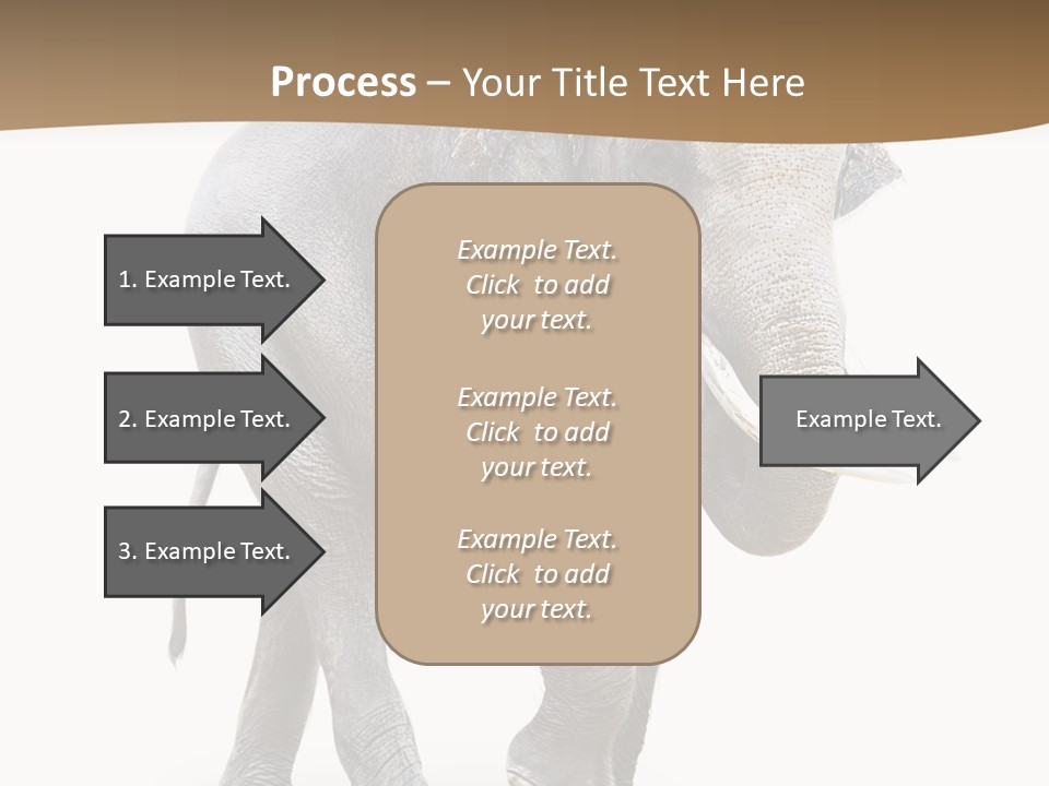 Elefanten Laufen Zirkus PowerPoint Template