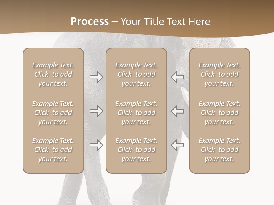 Elefanten Laufen Zirkus PowerPoint Template