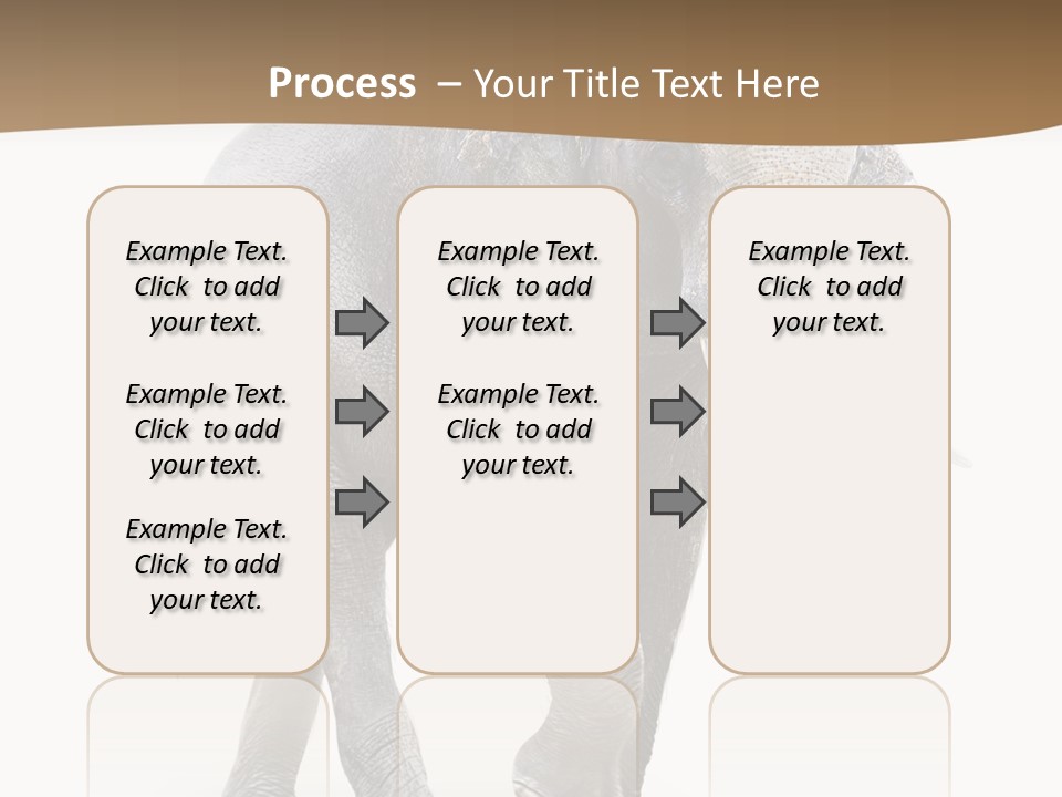Elefanten Laufen Zirkus PowerPoint Template