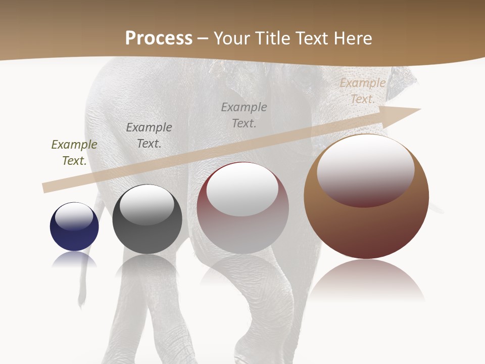 Elefanten Laufen Zirkus PowerPoint Template