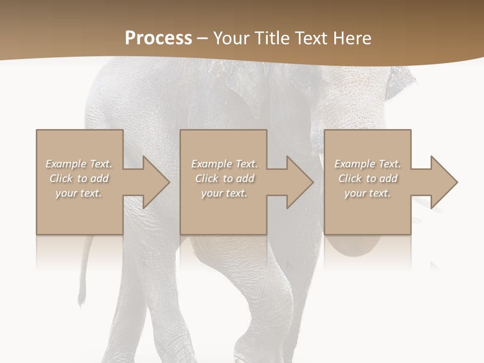 Elefanten Laufen Zirkus PowerPoint Template