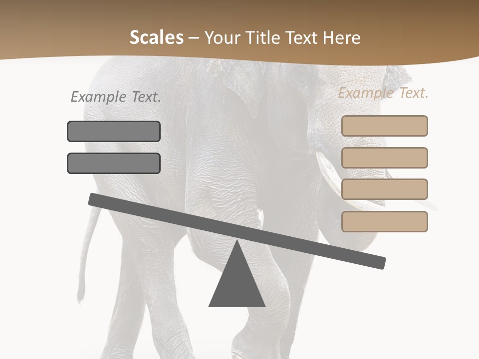 Elefanten Laufen Zirkus PowerPoint Template