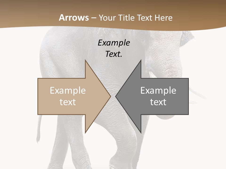 Elefanten Laufen Zirkus PowerPoint Template