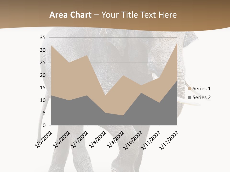 Elefanten Laufen Zirkus PowerPoint Template