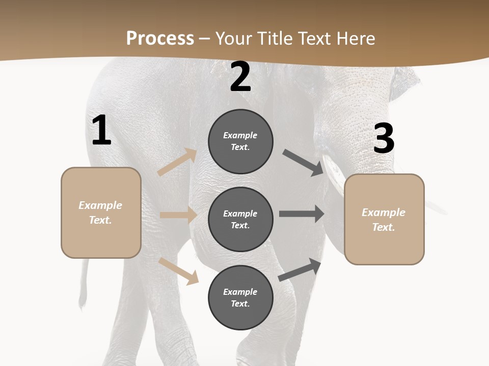 Elefanten Laufen Zirkus PowerPoint Template