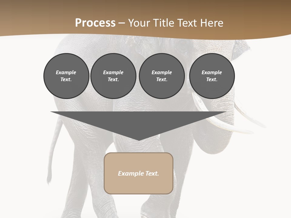 Elefanten Laufen Zirkus PowerPoint Template