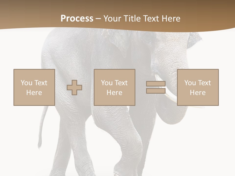 Elefanten Laufen Zirkus PowerPoint Template