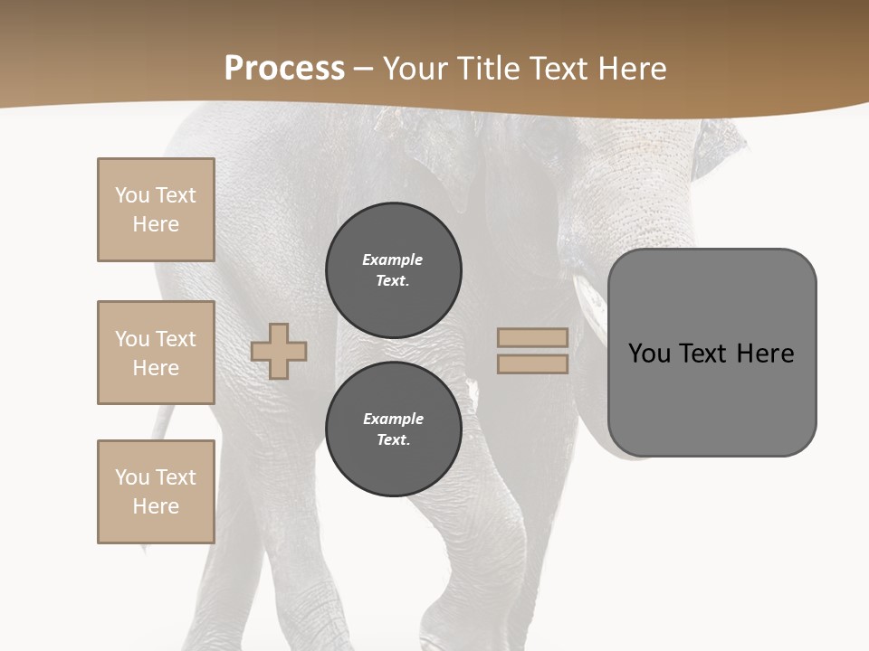 Elefanten Laufen Zirkus PowerPoint Template
