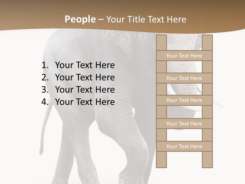 Elefanten Laufen Zirkus PowerPoint Template