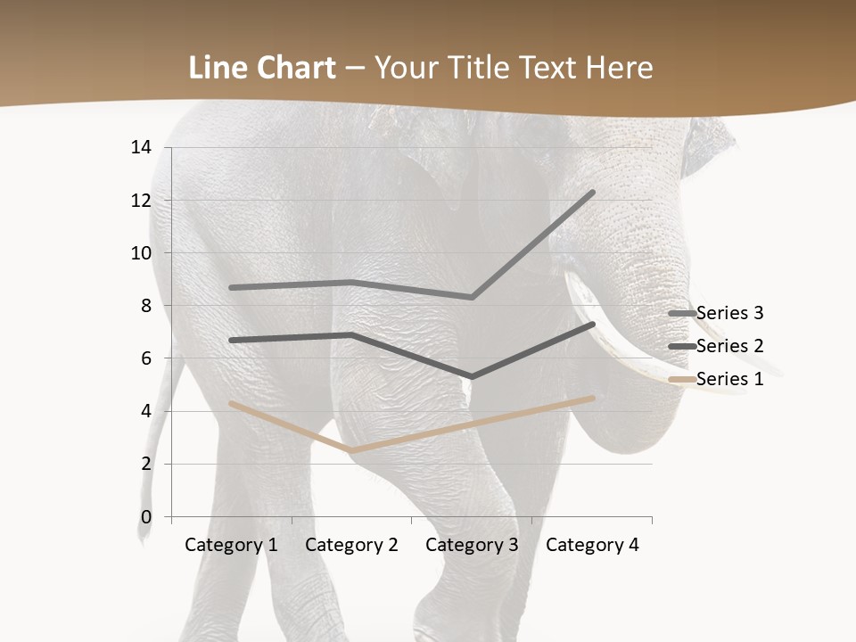 Elefanten Laufen Zirkus PowerPoint Template