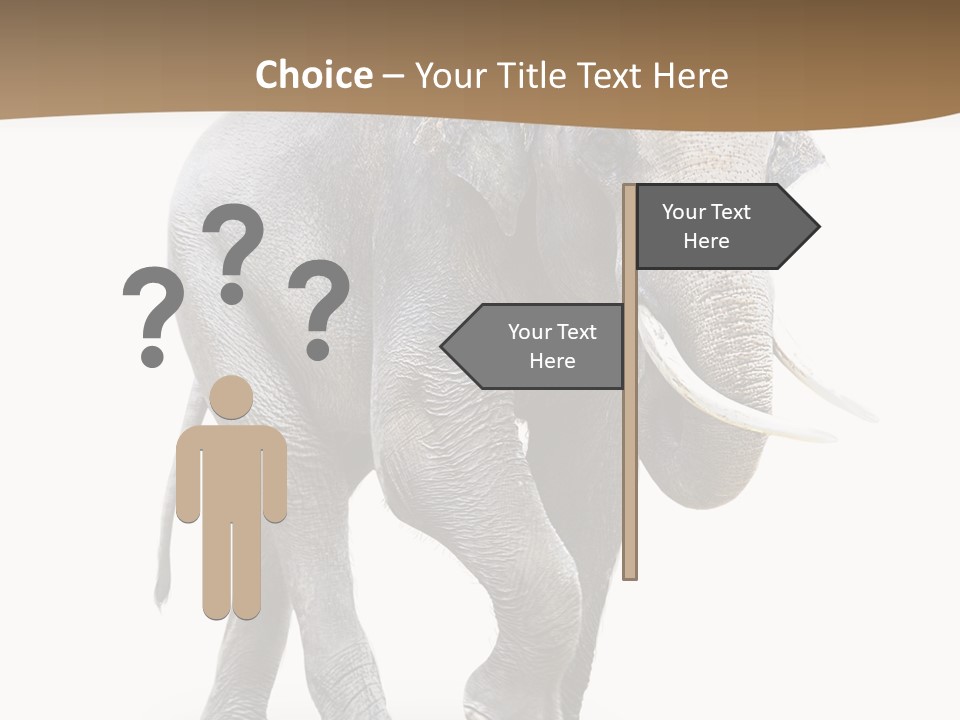 Elefanten Laufen Zirkus PowerPoint Template