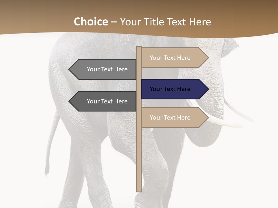 Elefanten Laufen Zirkus PowerPoint Template