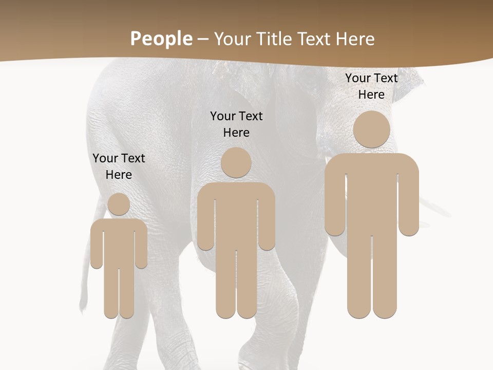 Elefanten Laufen Zirkus PowerPoint Template