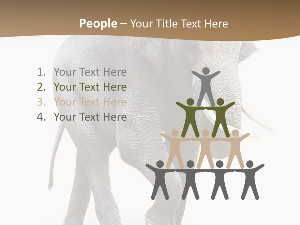 Elefanten Laufen Zirkus PowerPoint Template