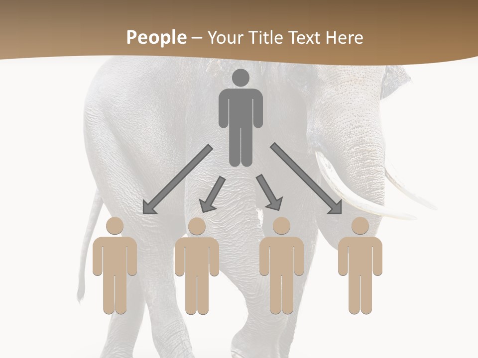 Elefanten Laufen Zirkus PowerPoint Template