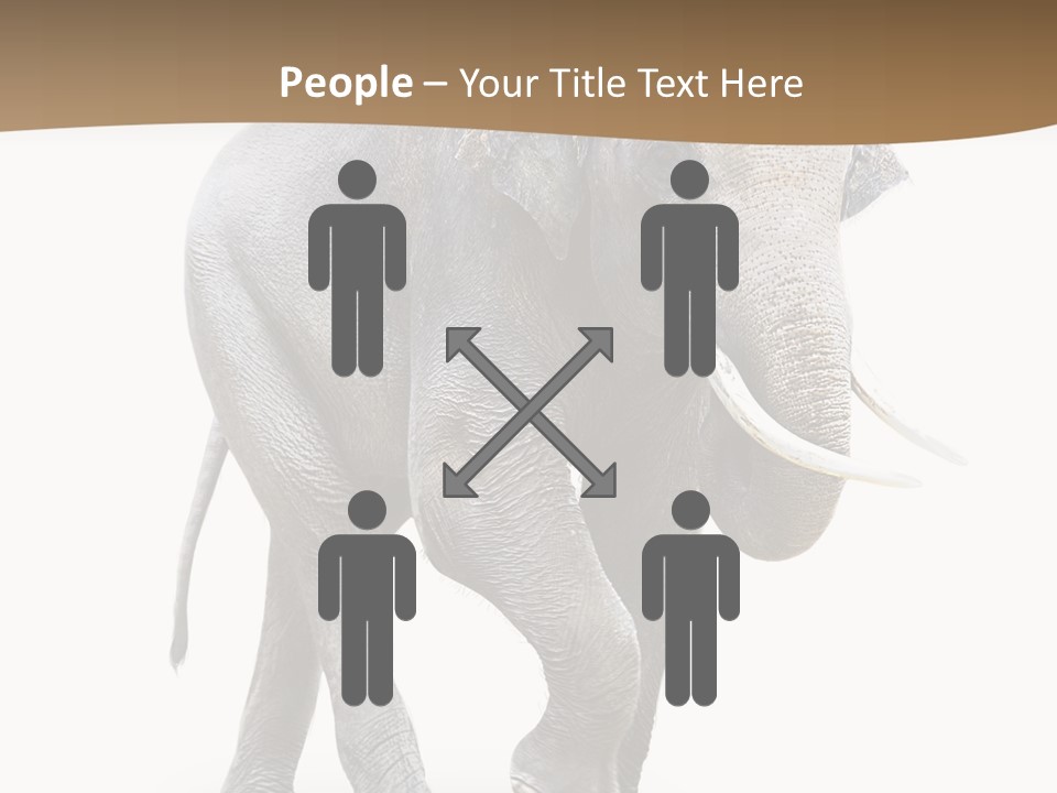 Elefanten Laufen Zirkus PowerPoint Template