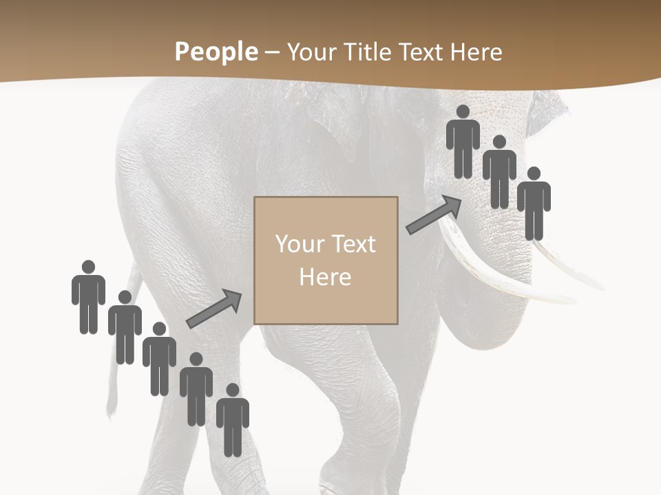 Elefanten Laufen Zirkus PowerPoint Template