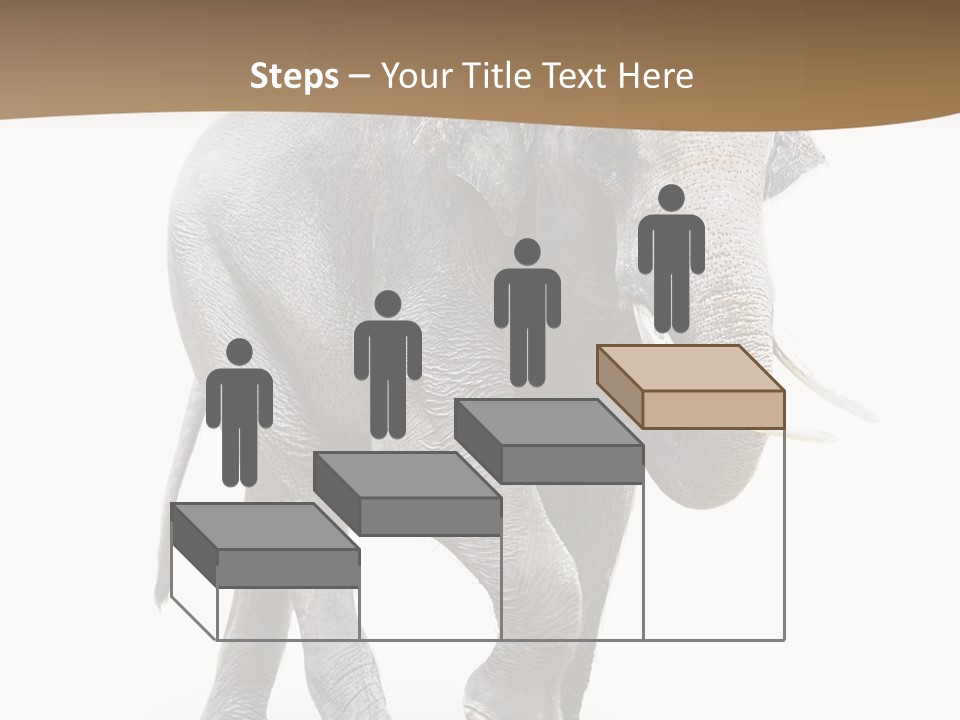 Elefanten Laufen Zirkus PowerPoint Template