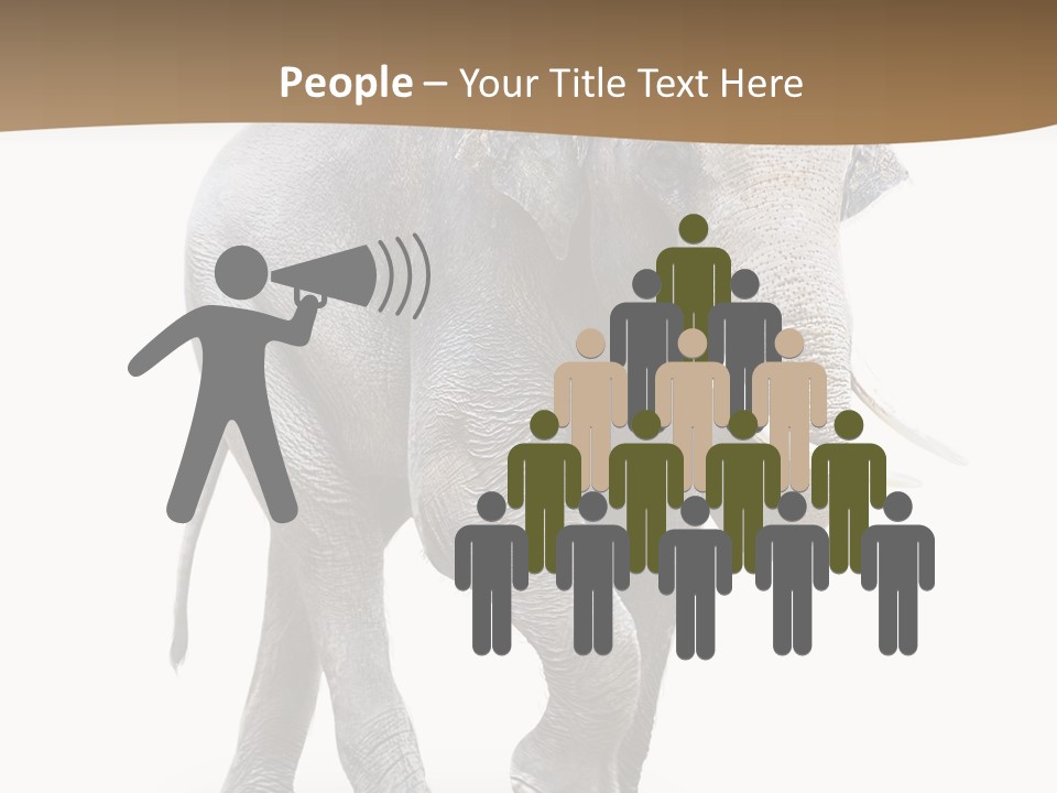 Elefanten Laufen Zirkus PowerPoint Template