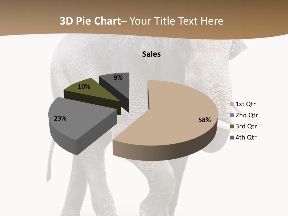 Elefanten Laufen Zirkus PowerPoint Template