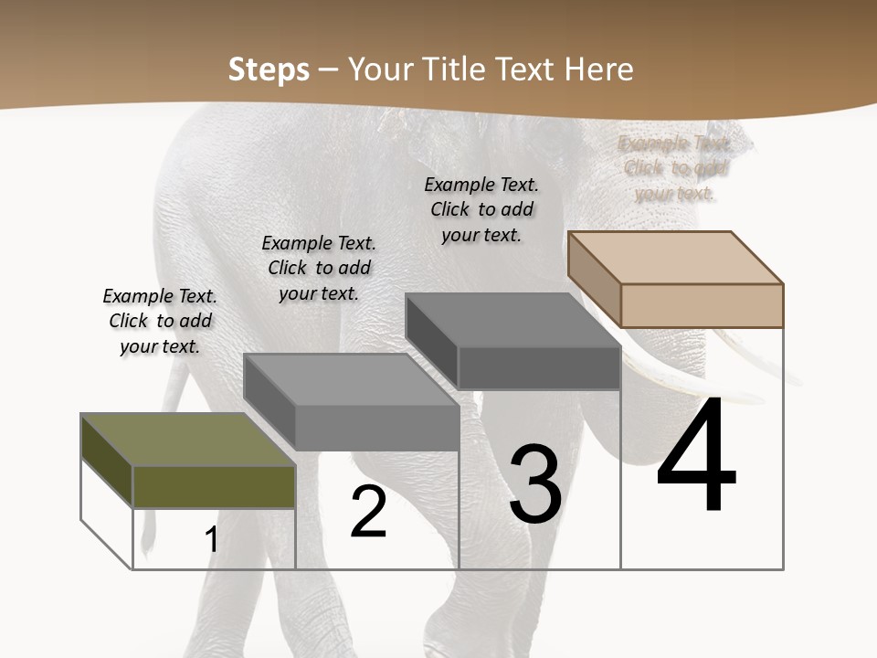 Elefanten Laufen Zirkus PowerPoint Template