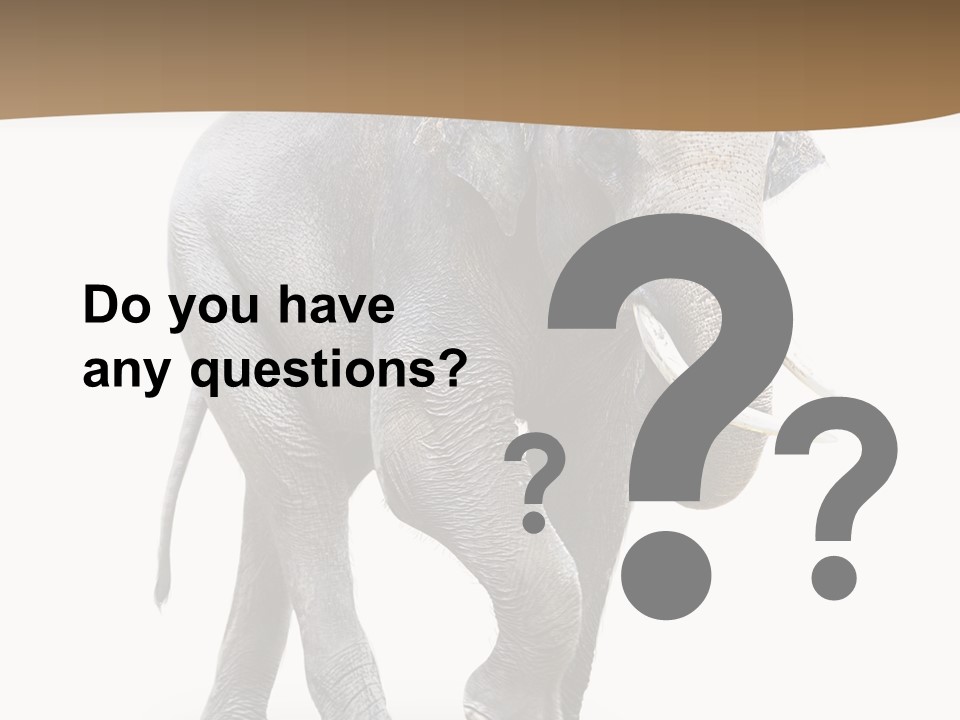 Elefanten Laufen Zirkus PowerPoint Template